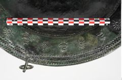 Foto von Bronzebreitrandfußschale (NHMW-PRAE-025559)